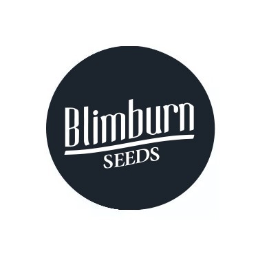 Blimburn Seeds auto